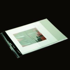 Hüllen für Passepartouts, 100 St.