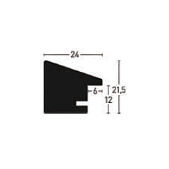 Essential 24