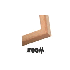 Nielsen Zoom